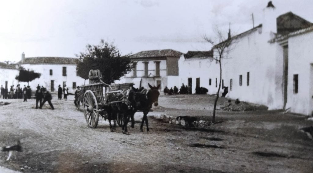Comprar lana en Toledo