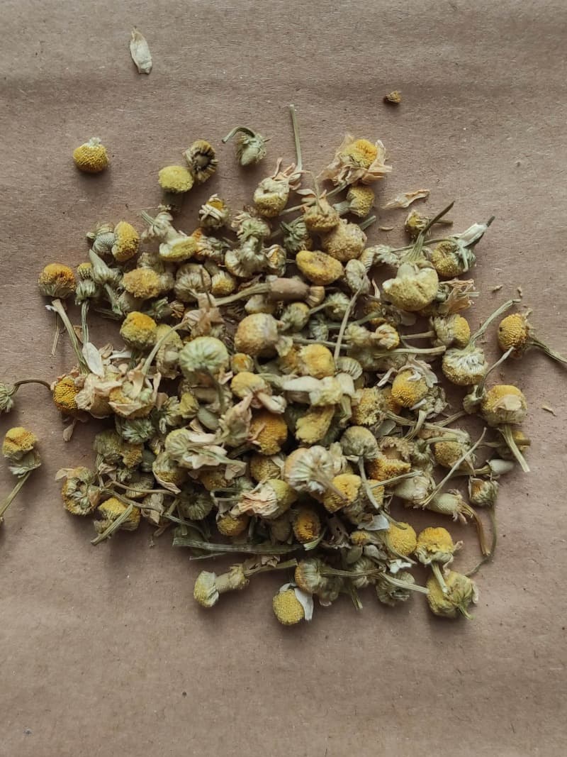Dyeing wool with chamomile